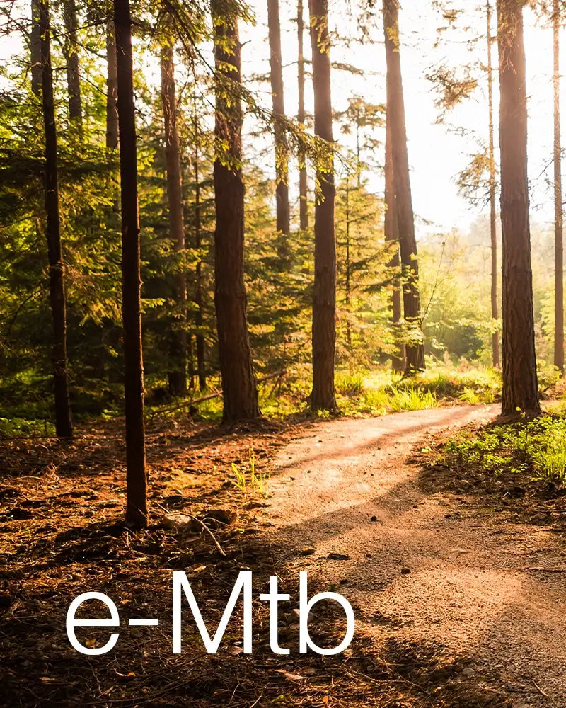 e-MTB